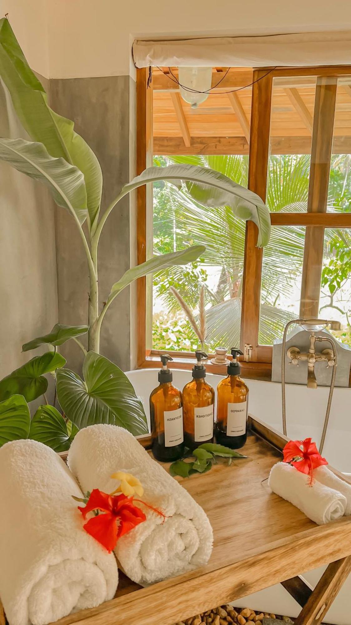 The Jungle Loft กอลล์ ภายนอก รูปภาพ