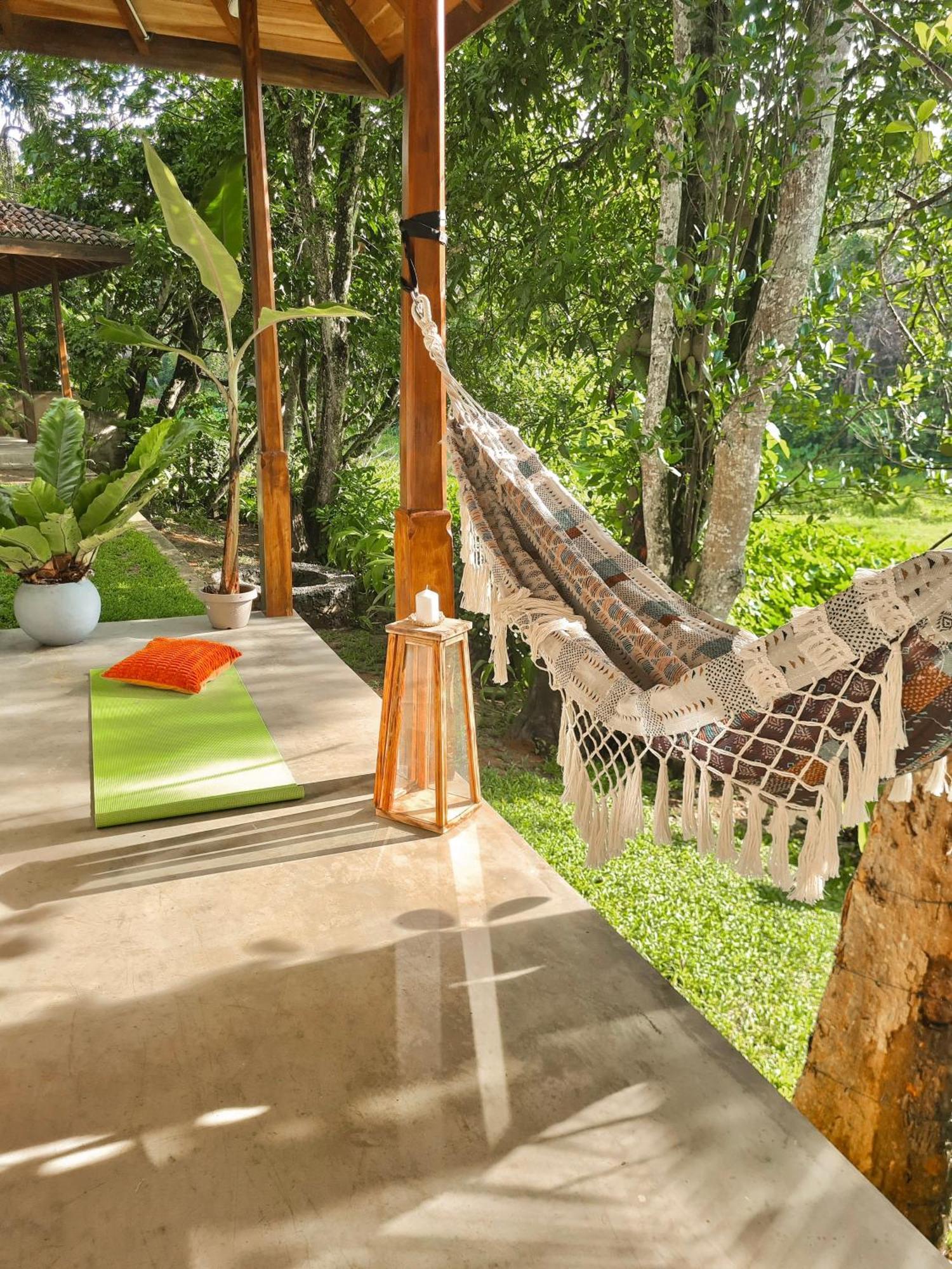 The Jungle Loft กอลล์ ภายนอก รูปภาพ