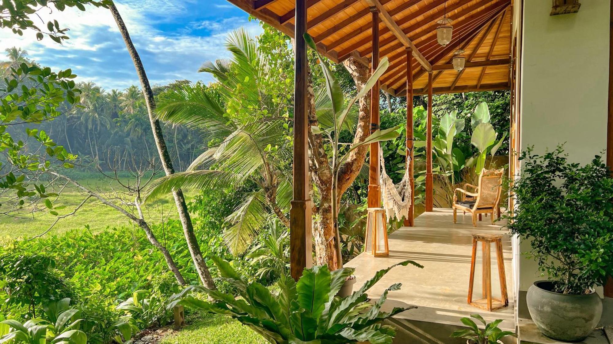 The Jungle Loft กอลล์ ภายนอก รูปภาพ