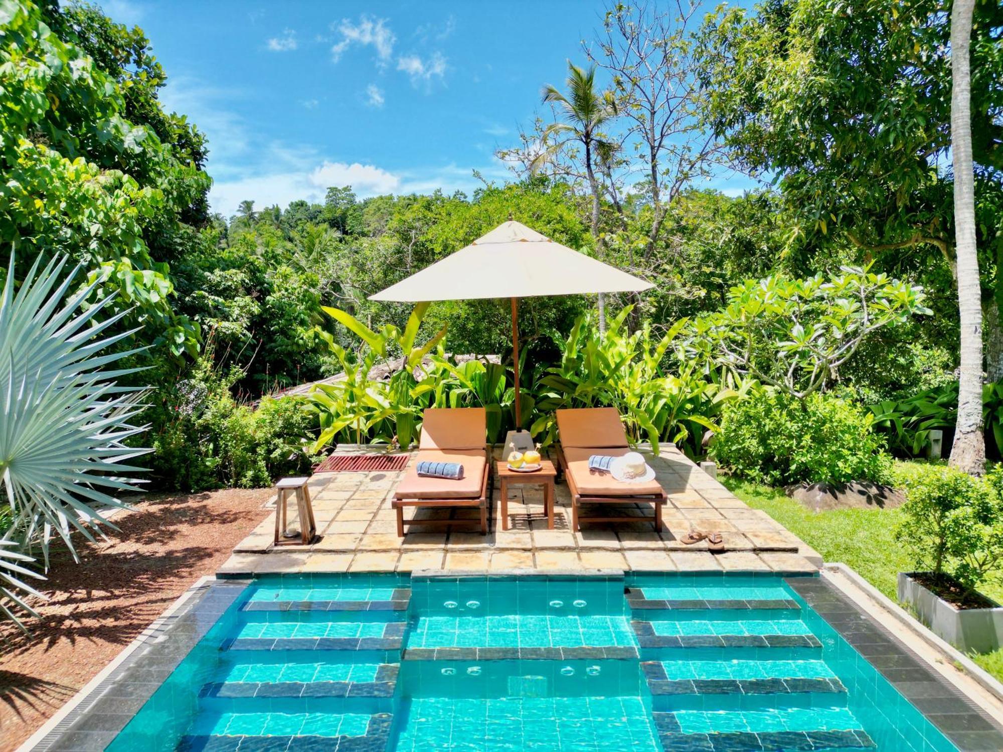 The Jungle Loft กอลล์ ภายนอก รูปภาพ