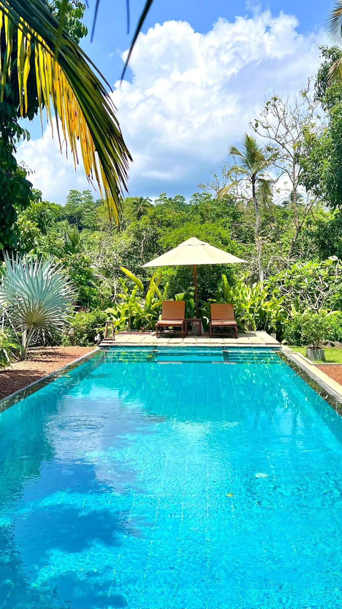 The Jungle Loft กอลล์ ภายนอก รูปภาพ